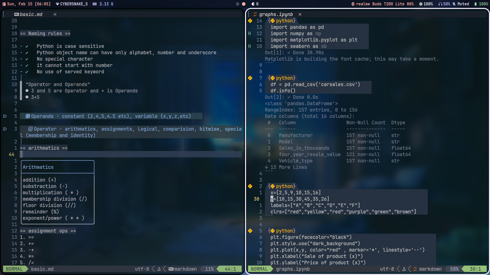 Neovim Data Analysis Setup